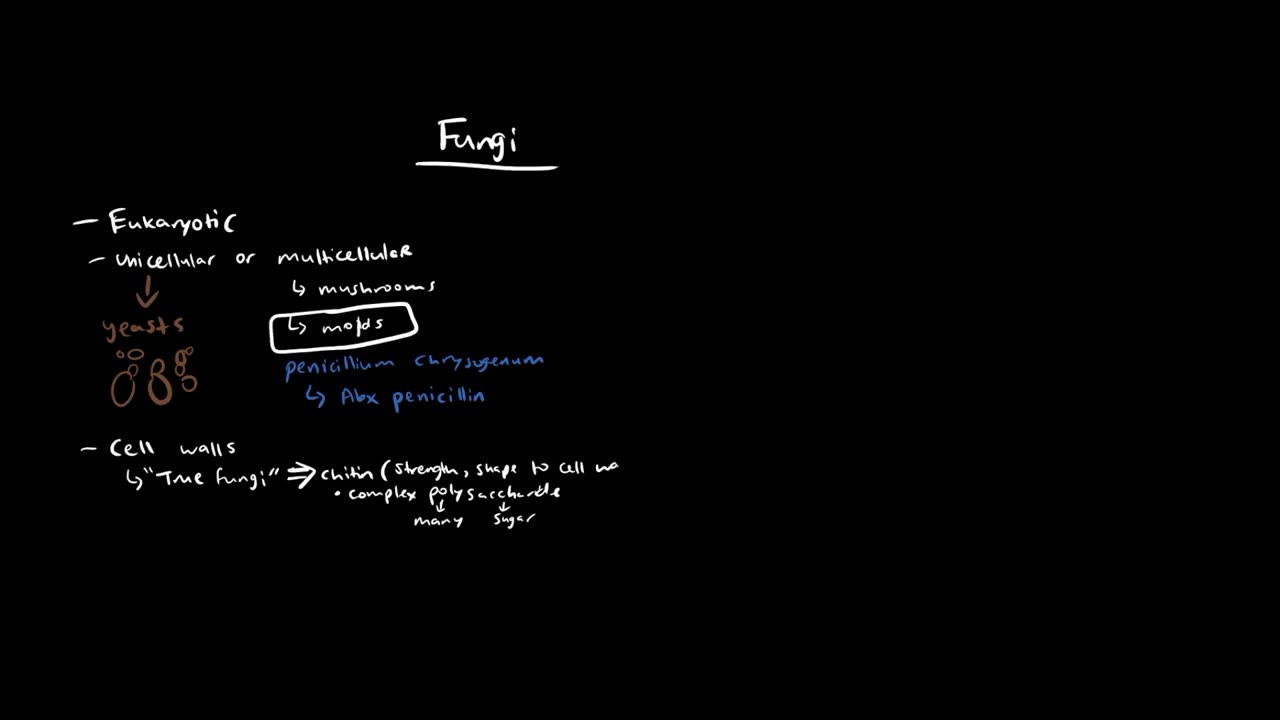 A Quick Overview of Fungi