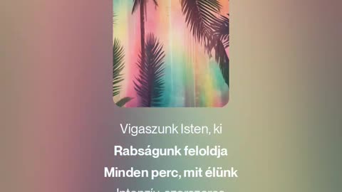 Ami közben történt