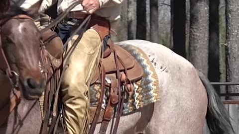 Some times horses have bad days and you need a foundation to come back to.