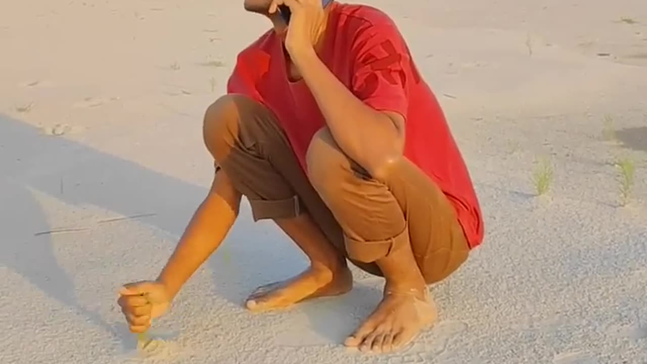 Viral Videos