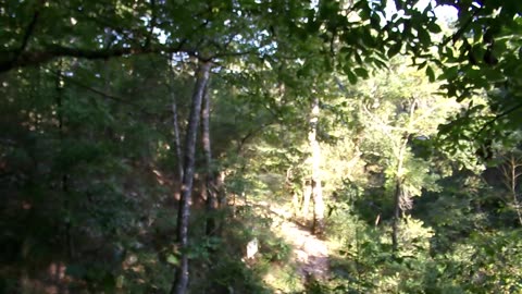 Natural Falls: A Beautiful Oasis in Oklahoma