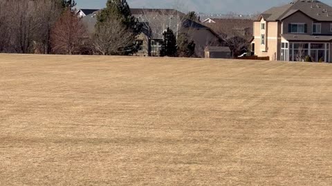 very nice day outside