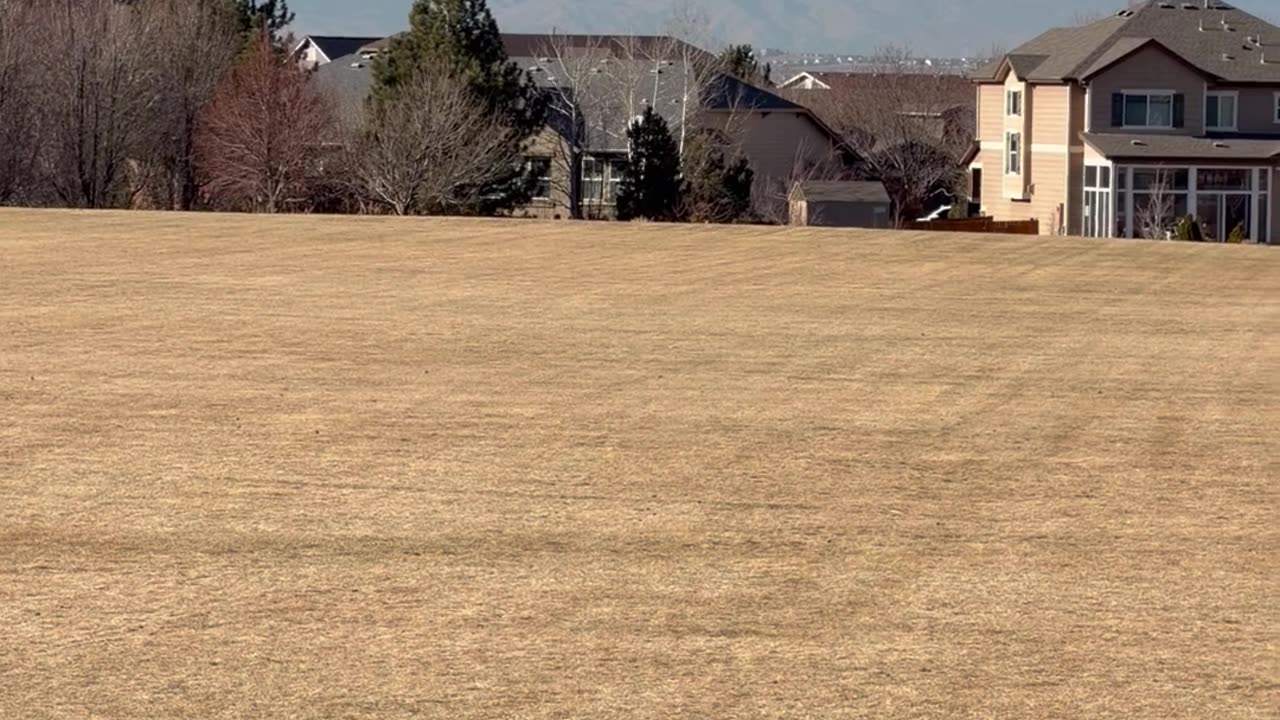 very nice day outside