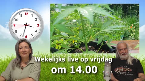 Iedere vrijdagmiddag om 14.00 gaan we live!