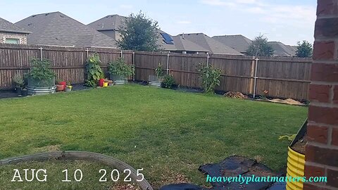 52 Sundays! Moving right along!