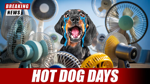 Dog vs. Heatwave Who Will Win? | Sunday Puppy Jay (S01 E09)