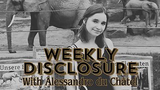Weekly Disclosure #006