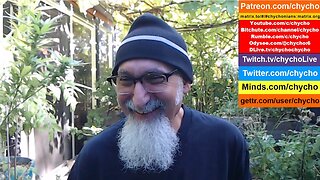 Patio Garden Open Discussion -- Sunday, September 21, 2025 [ASMR]