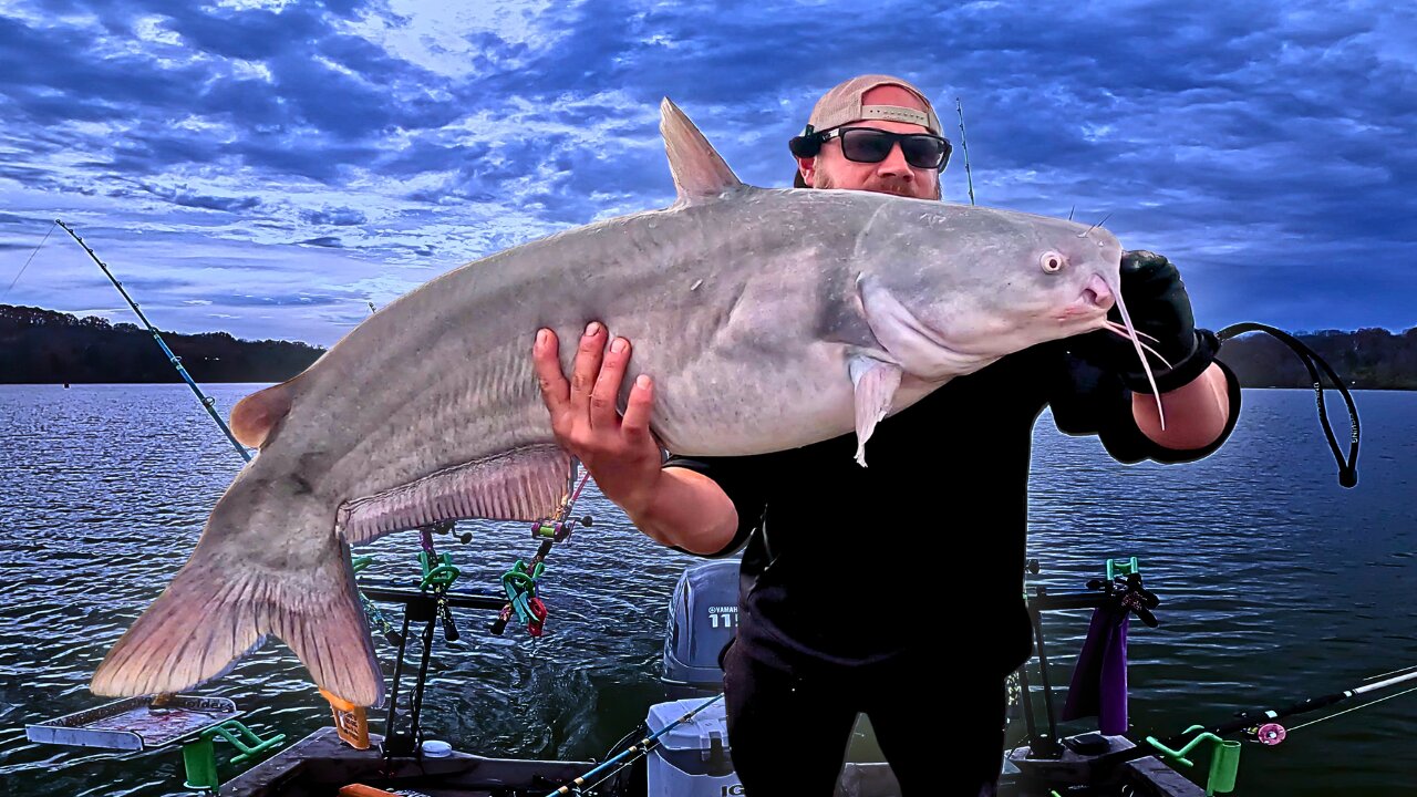 Why You're MISSING FISH in Deep Water Dragging Baits