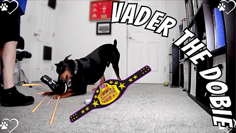 Dobie Boxing Championship 🥊 Vader vs Dad | Full Replay Chaos