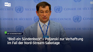"Bloß ein Sündenbock" – Poljanski zur Verhaftung im Fall der Nord-Stream-Sabotage