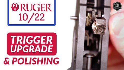 Ruger 10/22 Trigger Job w/ Polishing - Ruger 10/22 Disassembly and Cleaning Ruger 10/22 by M*CARBO