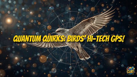 Quantum Tunneling Drives Unexpected Bird Migration Patterns