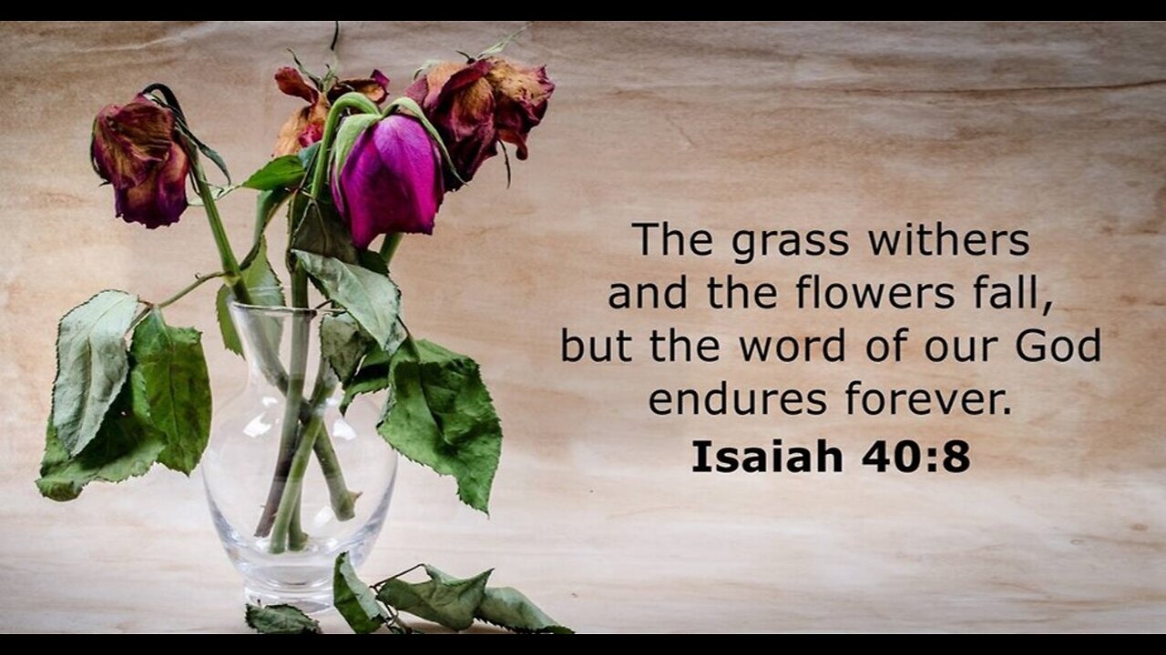 Third Sunday in Advent | Hark the Glad Sound!