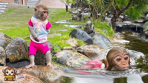 YinYin was surprised and worried when YiYi swimming in the fish tank