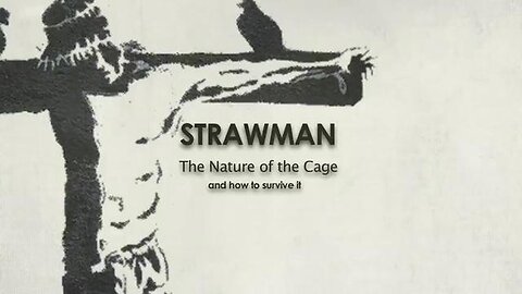 "Exploring 'STRAWMAN - The Nature of the Cage' (2015): A Riveting Documentary by John K. Webster"