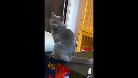 🥰🐱😁