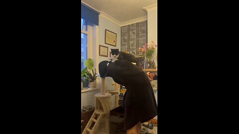 Skanking with the cat