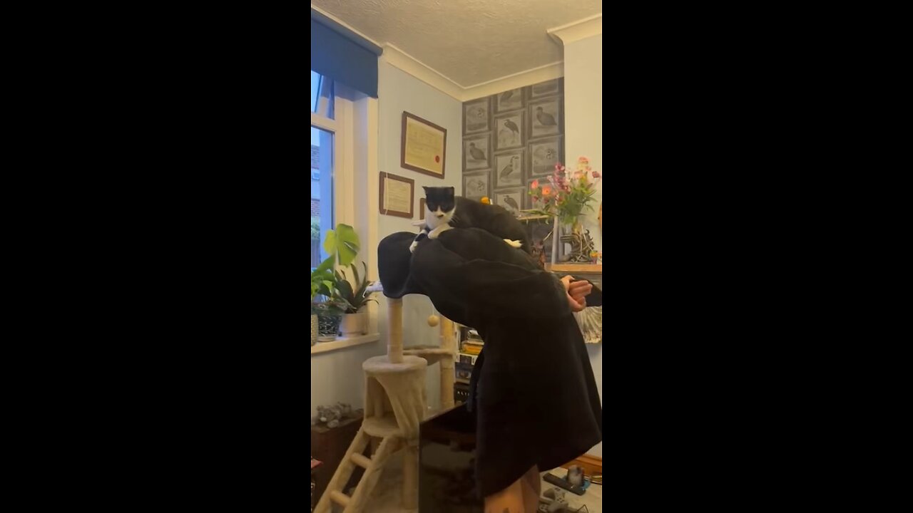 Skanking with the cat