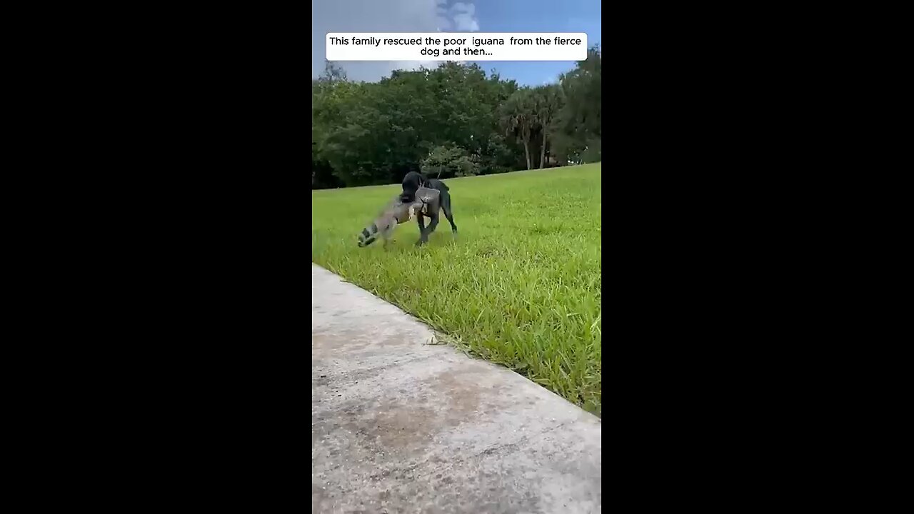 please like and follow