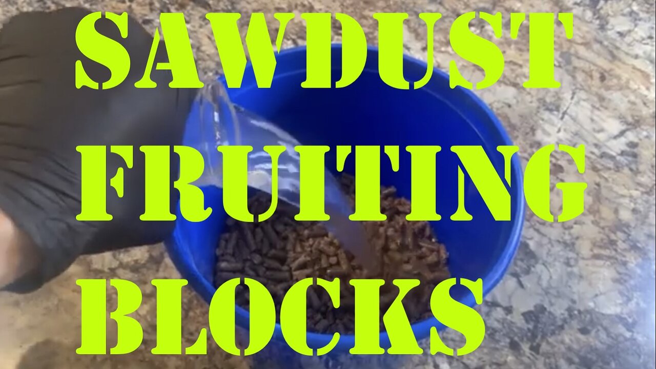 Sawdust Fruiting Blocks