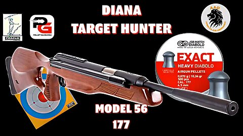 Diana Target Hunter Model 56 in 177 Test at 35 yards with JSB 10.34gn pellets
