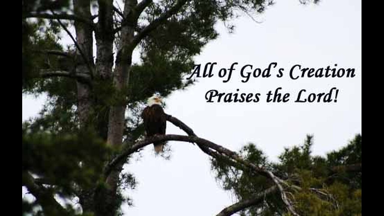 Praise The Lord For All Of Creation
