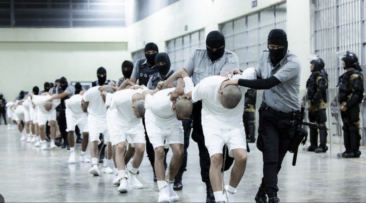 Not Satire Dem Sen Denied Access to Deported MS-13 Suspect in El Salvador