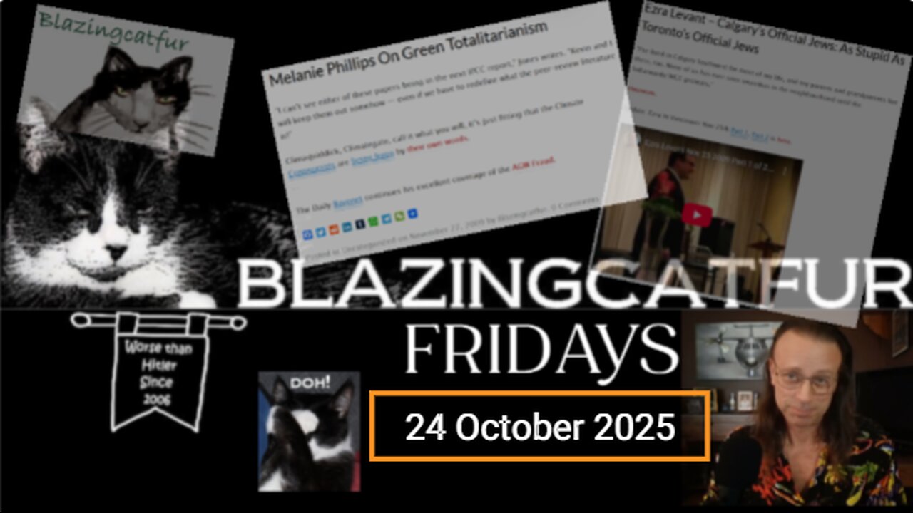 Blazing Cat Fur Fridays - October 24, 2025