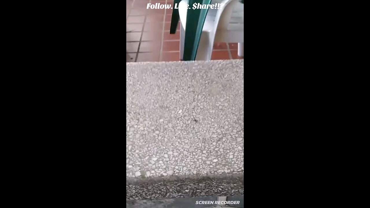 Fly vs Mr. , CenciEnergy Fly vs Mr. CenciEnergy.