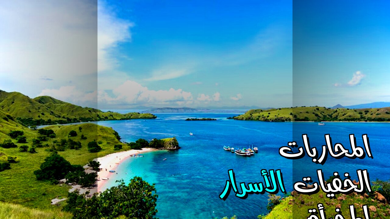 المحاربات الخفيات: ماذا أخفوا عنا؟ ⚔️