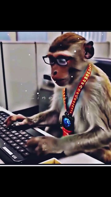 🎉Happy birthday everyone🌞It's To LAUGH When Watching This Video Cute DOG|cute cat|Please Follow me