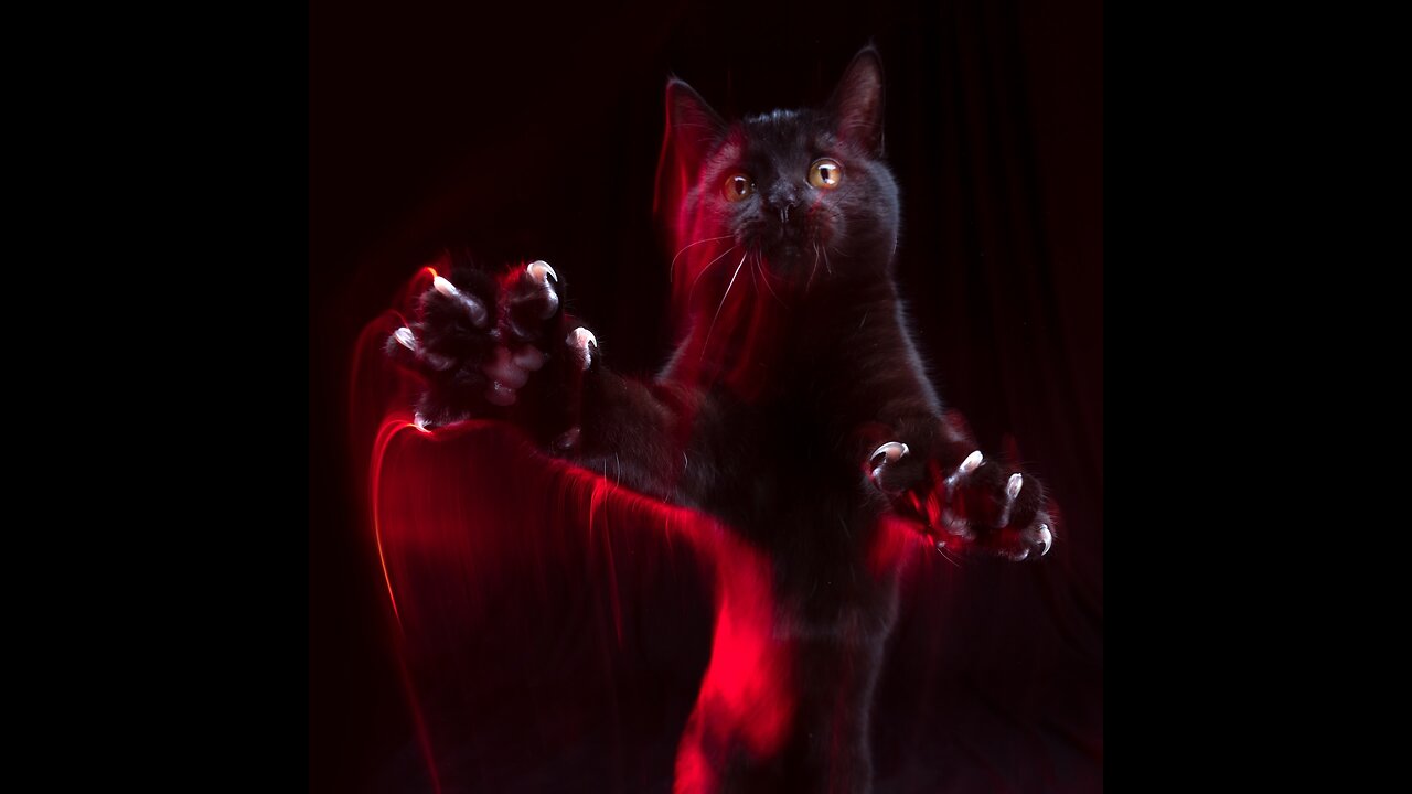 Monster by Jungle Jim