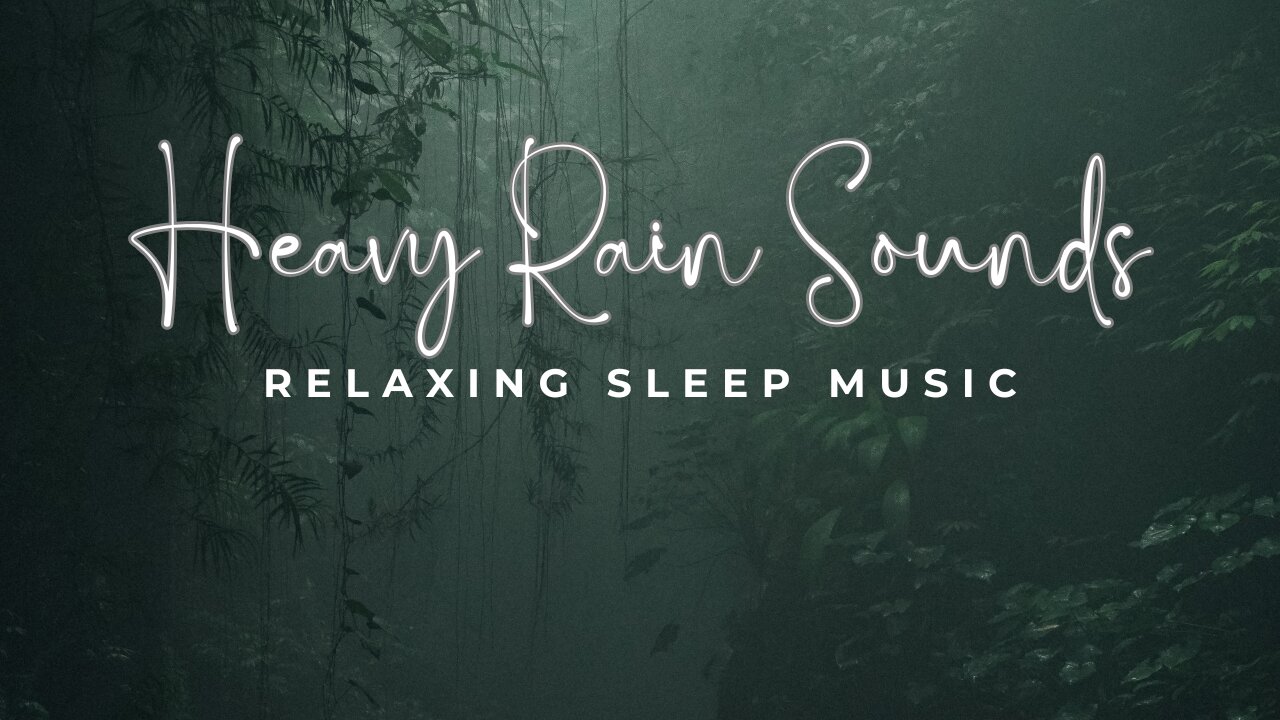 Heavy Rain & Thunder in Foggy Forest at Night 🌧 | Deep Sleep, Relax, Study, Reduce Stress