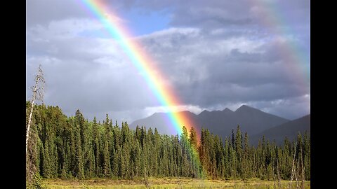 POSITIVE MESSAGES ON CREATING A BETTER WORLD!