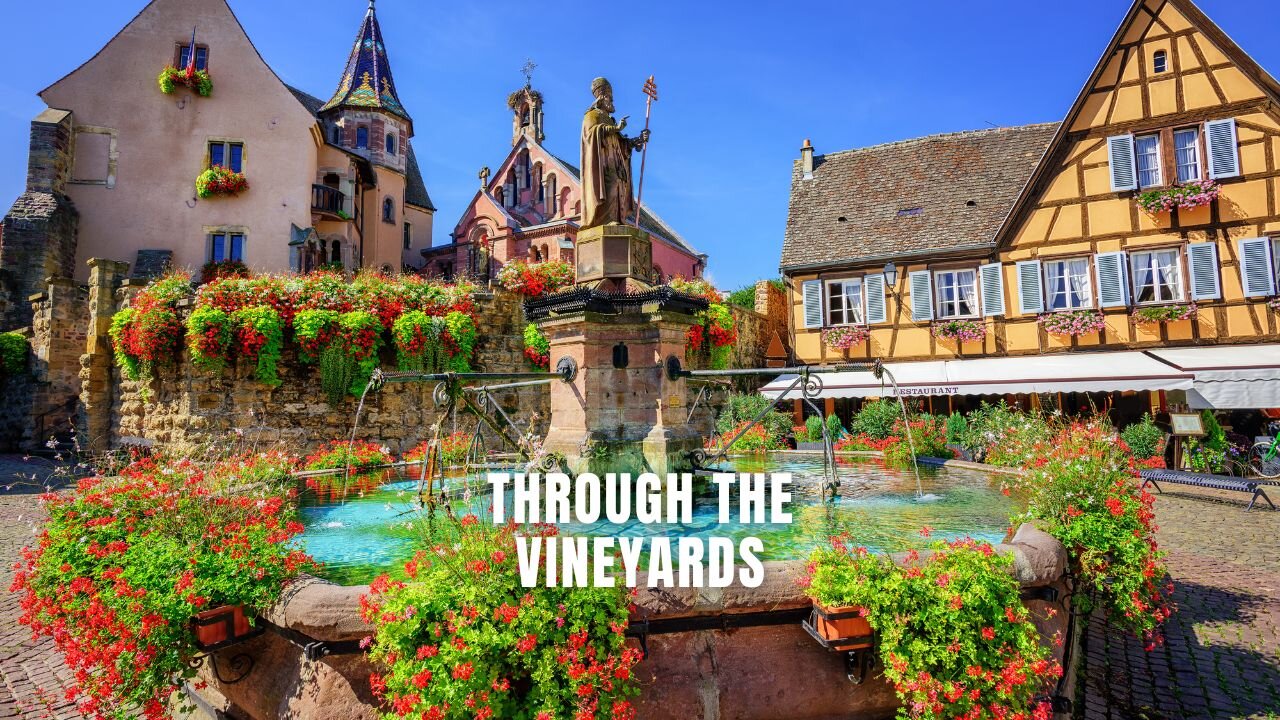 Through the Vineyards #Riquewihr #alsace #francetravel #vineyardviews
