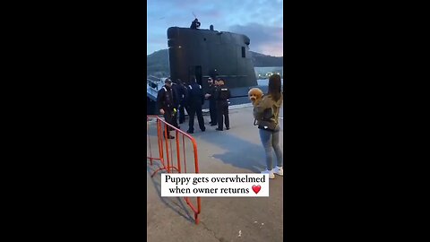 A dog's excited greeting after being reunited with its owner.😍