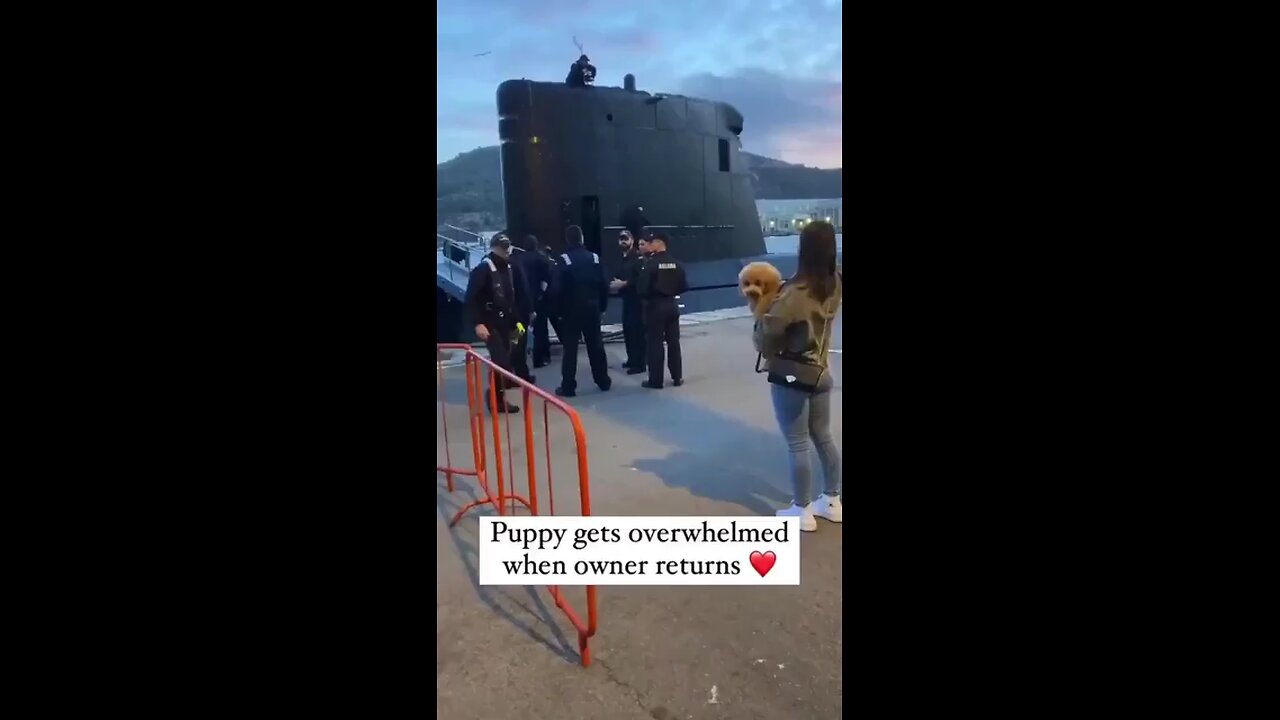 A dog's excited greeting after being reunited with its owner.😍