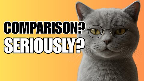 Stop Comparing Yourself. Be a Cat Instead (Self Improvement Tips)