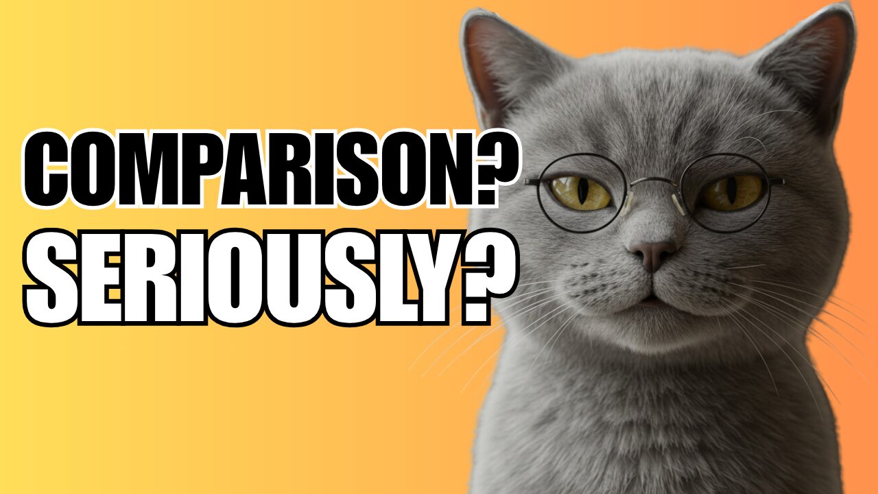 Stop Comparing Yourself. Be a Cat Instead (Self Improvement Tips)