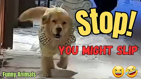 Stop! you might slip