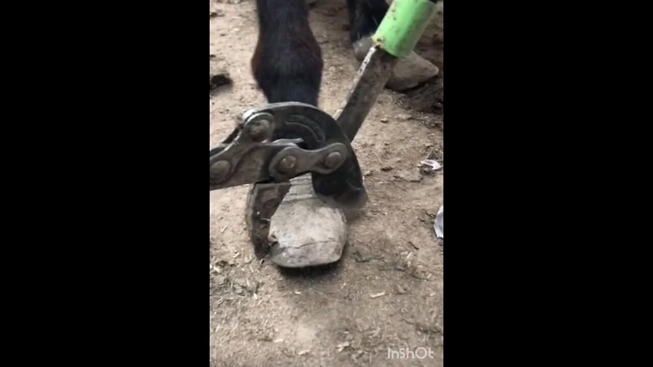 are you kidding me 🤯