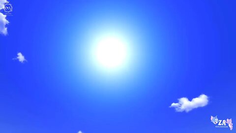 Oscar's and Oasis Cartoons