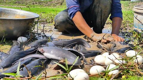 Fishing Blogging vlog
