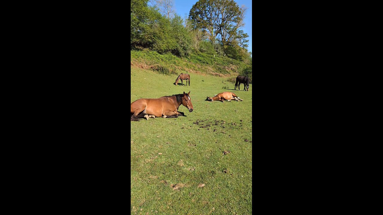 Happy Sunday morning y'all