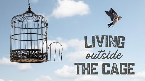 Living Outside the Cage