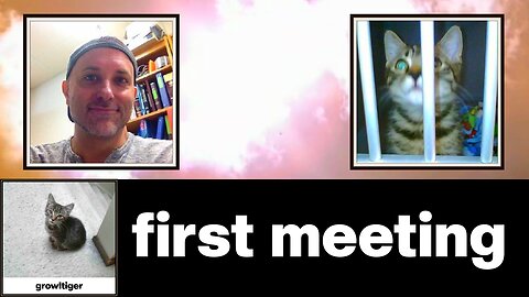 First Meeting - Jerry Goldsmith