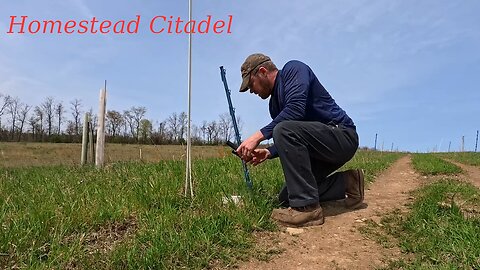 Chickens, Chainsawing, and Irrigation Troubles