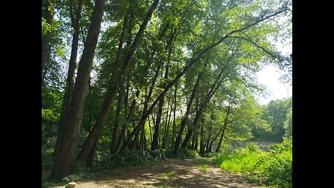 beautiful chalus nature