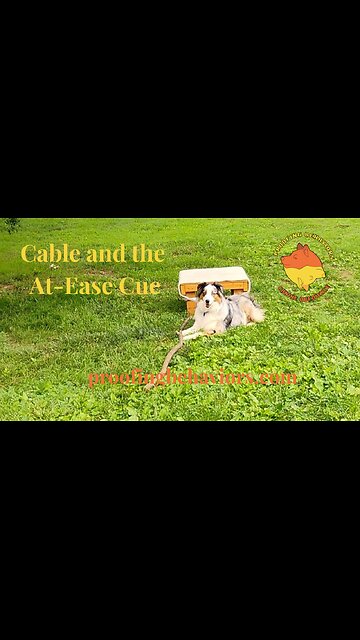 Cable and the At Ease cue part three cut 1